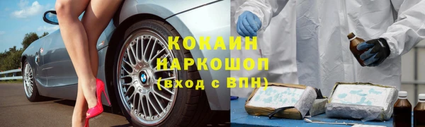 дживик Володарск