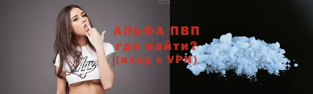 дживик Володарск
