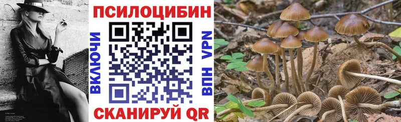 Псилоцибиновые грибы мухоморы Купить Курчалой